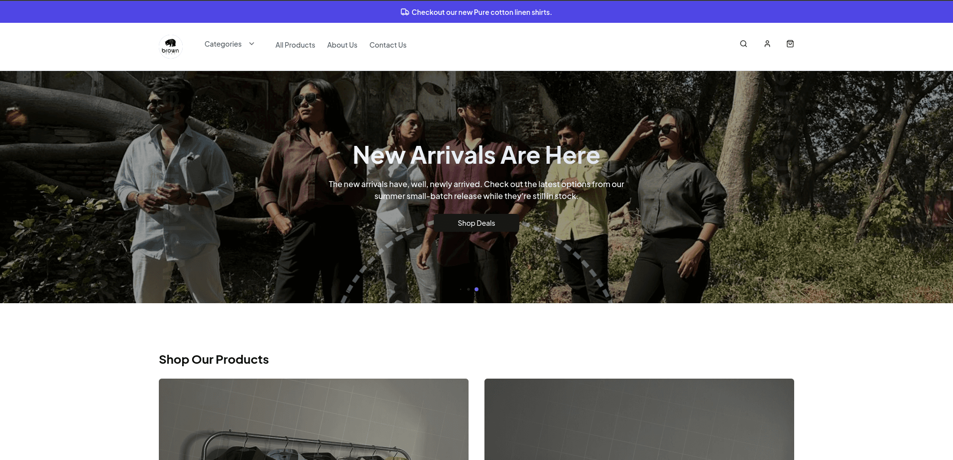 Brown Bear project image